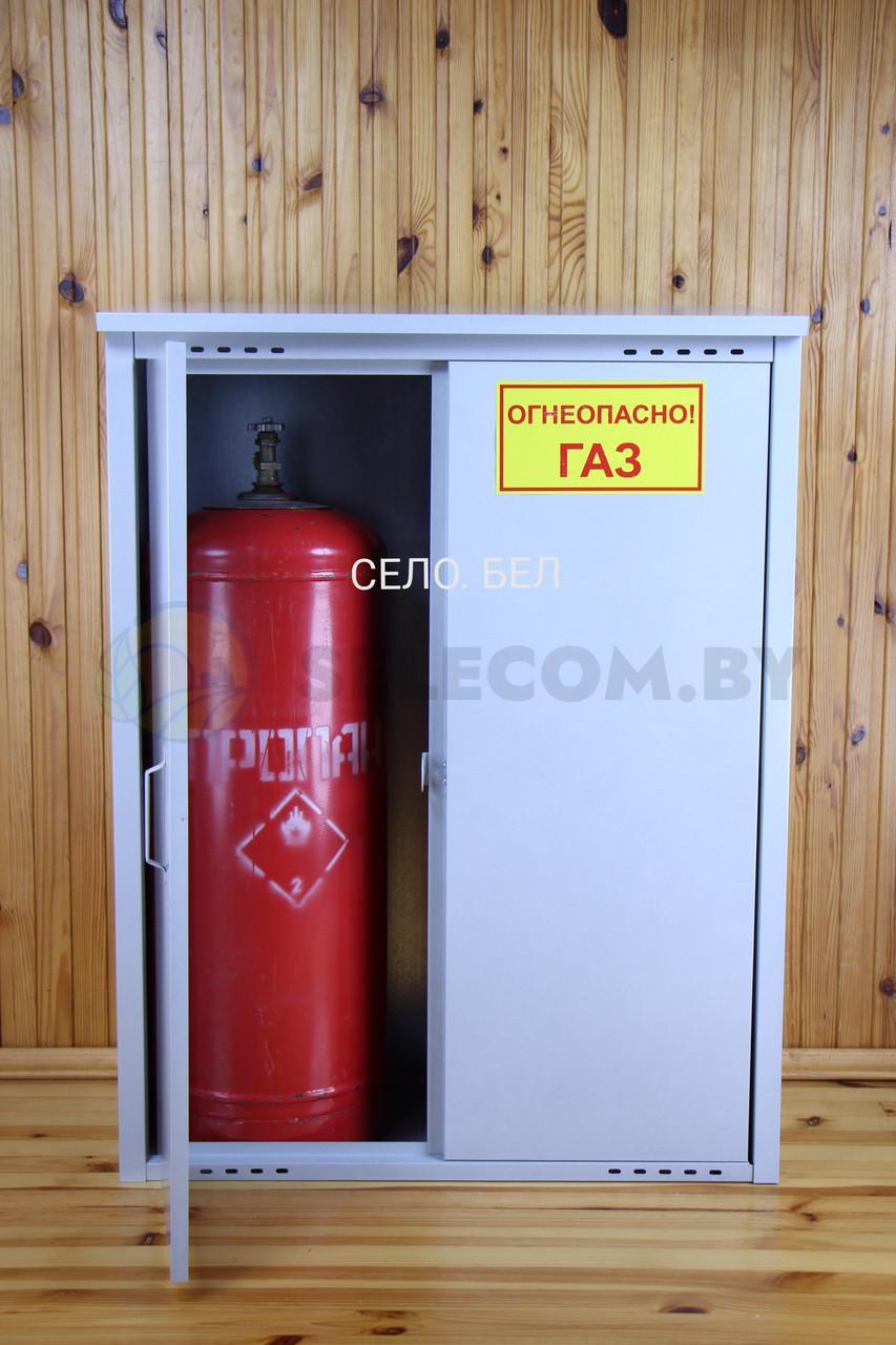 Шкаф для газовых баллонов (серый, 2х50 л.) 4