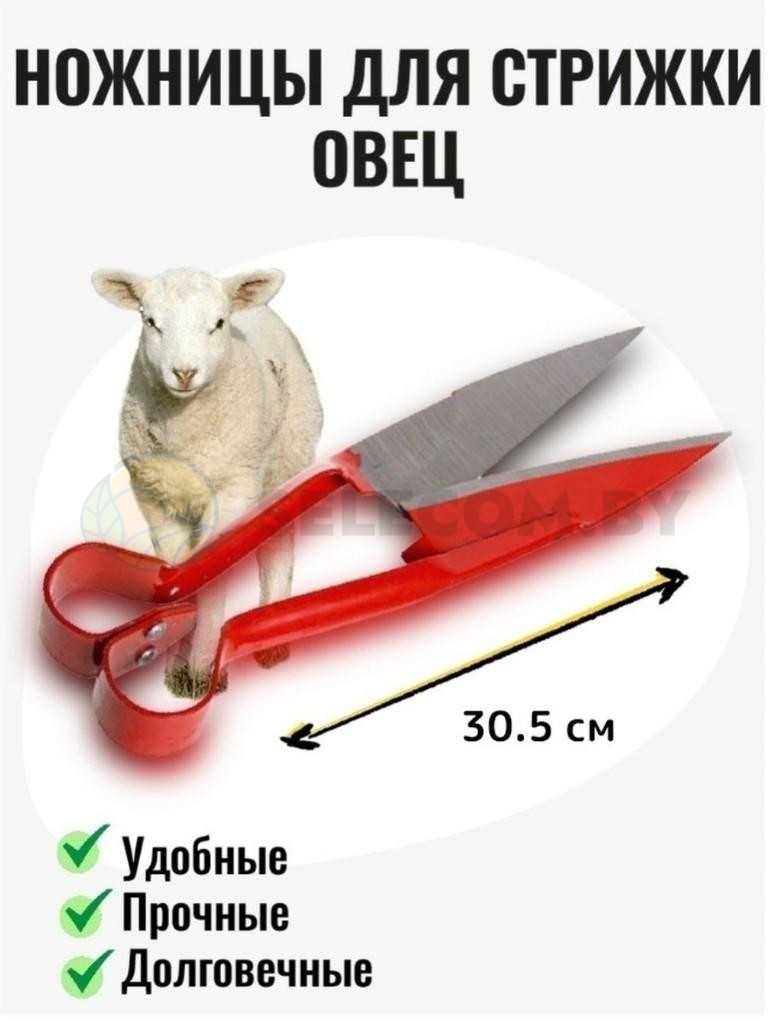 Ножницы для стрижки овец 30,5 см