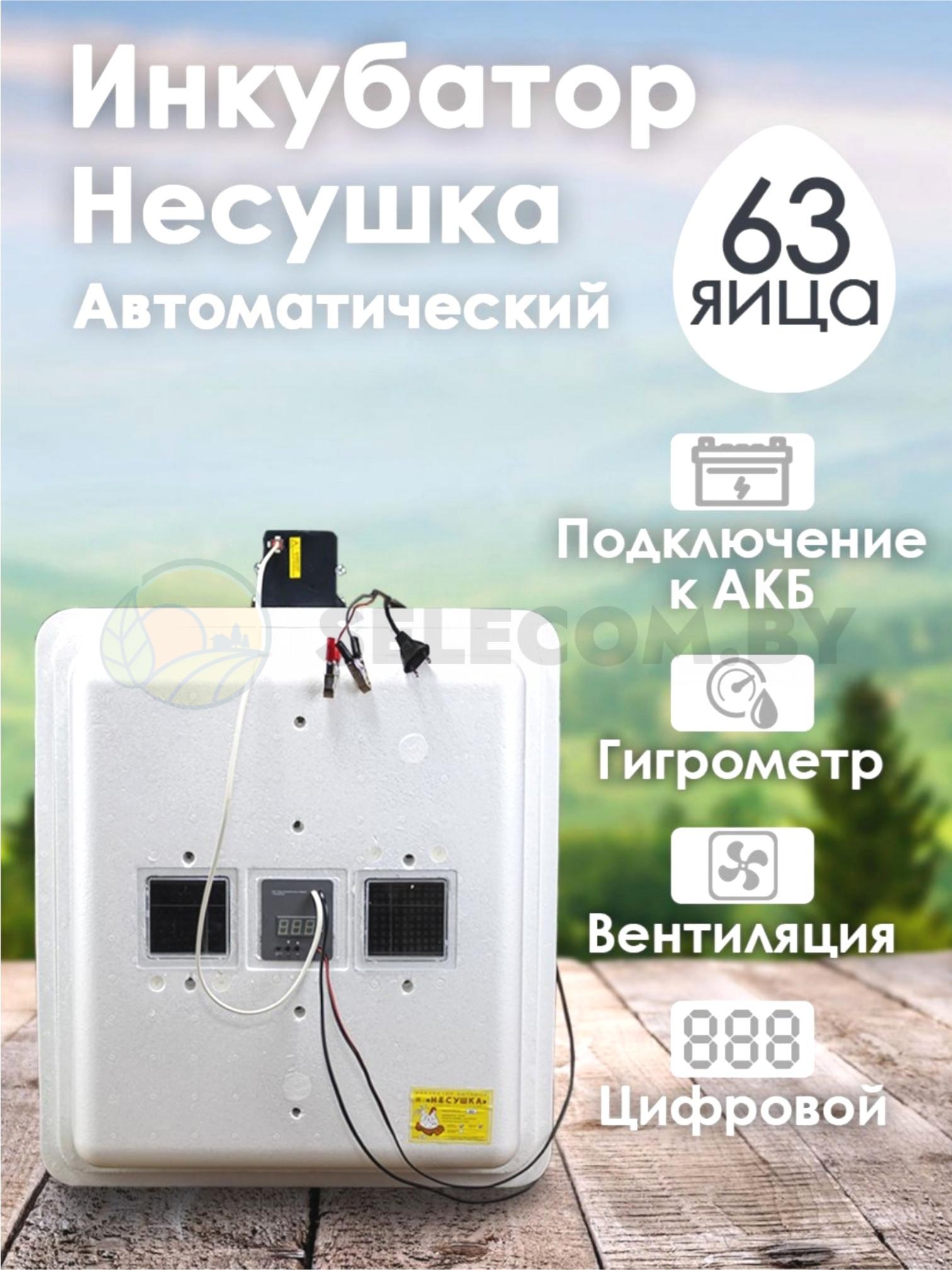 Инкубатор Несушка-63-ЭГА-12В н/н 46Вг