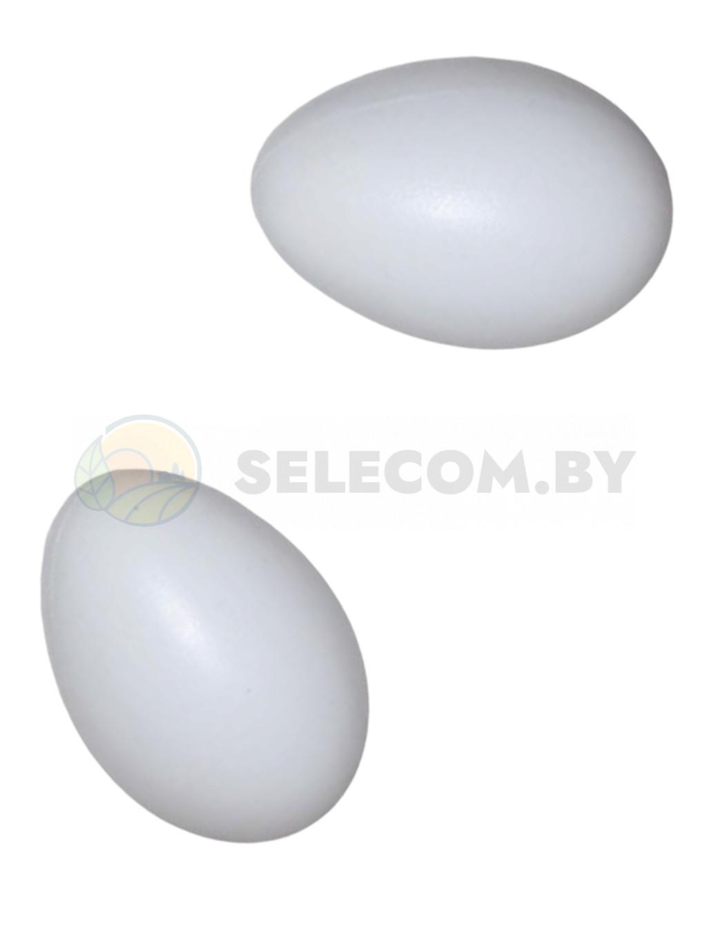 Яйцо подкладное гусиное(2)
