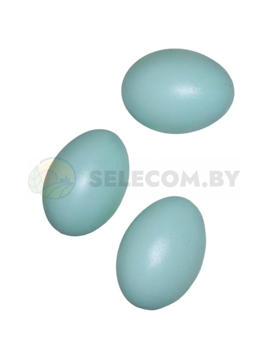 Яйцо подкладное голубиное(2)
