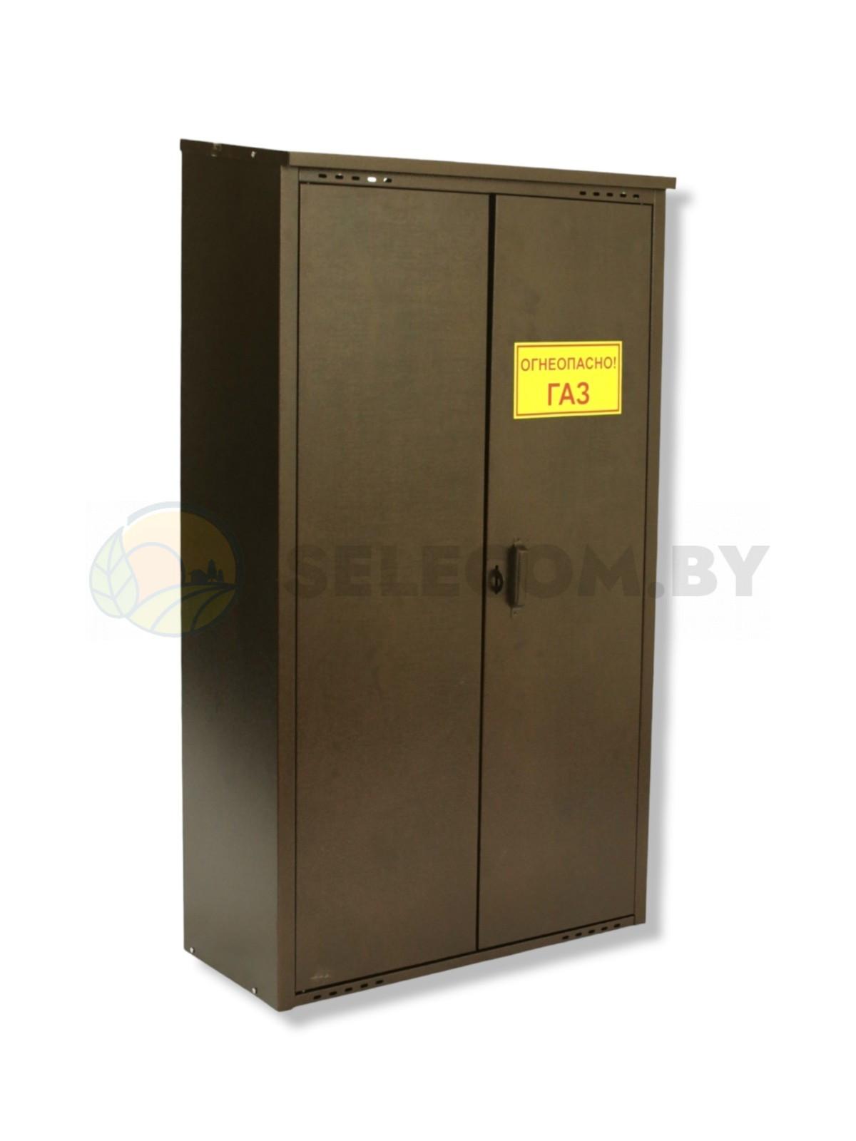 Шкаф для газовых баллонов (античный, 2*50 л.) 8