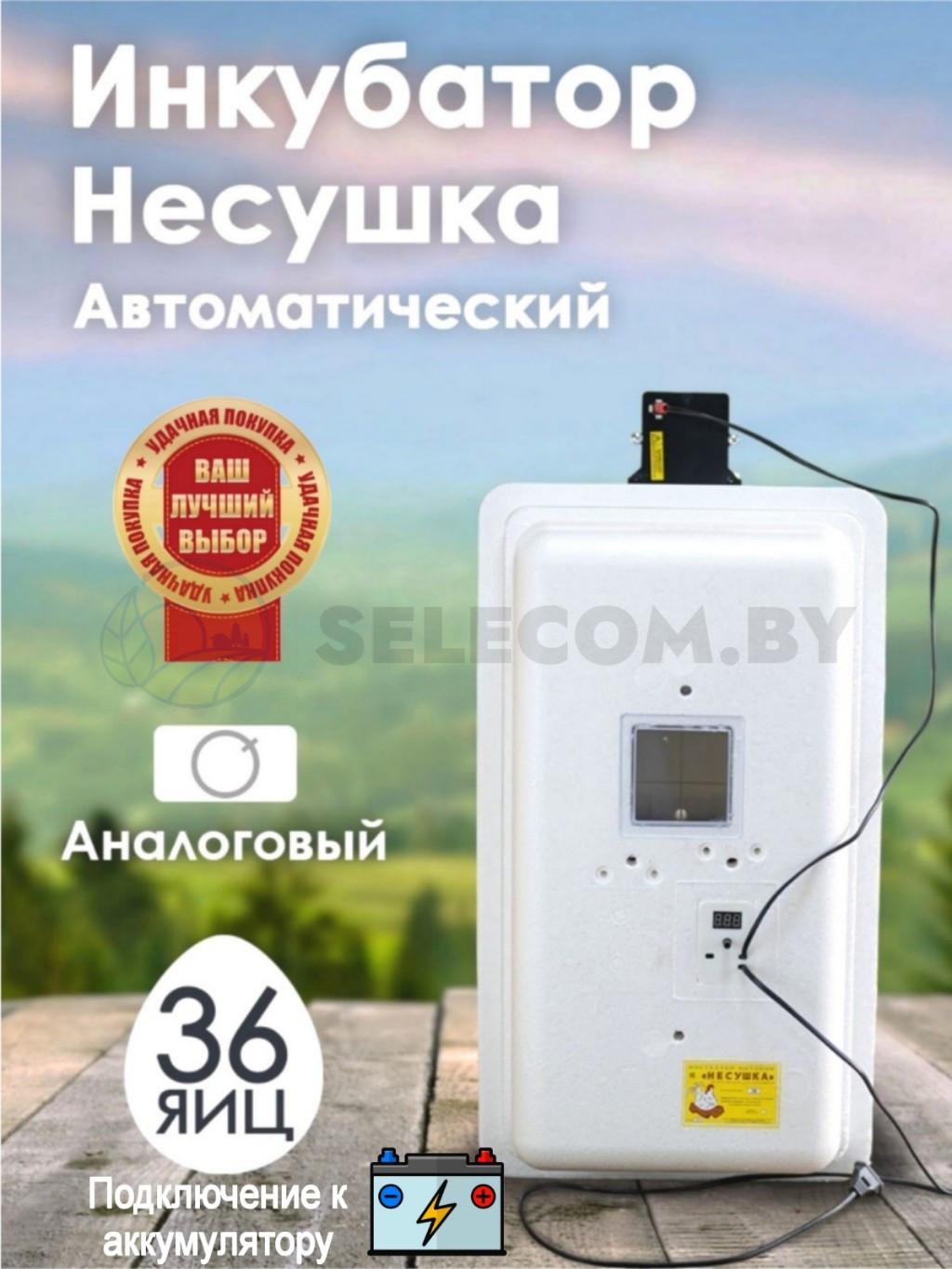 Инкубатор Несушка-36-А+12В н/н 74