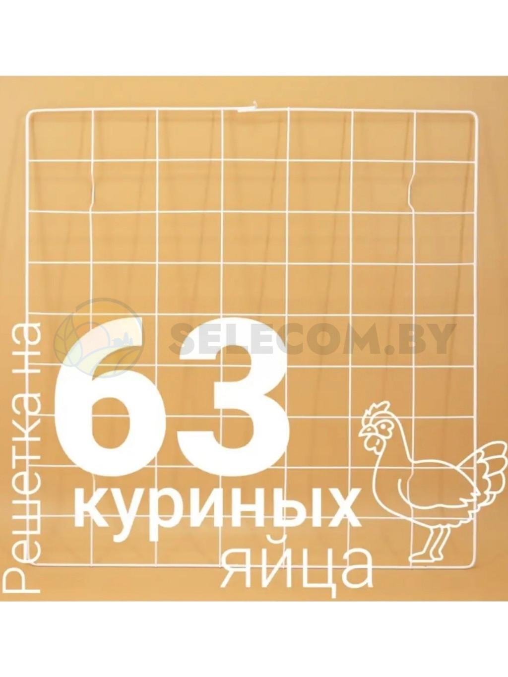 Решетка куриная на 63 яйца к инкубаторам «Несушка»,»Наседка», «БИ-2»