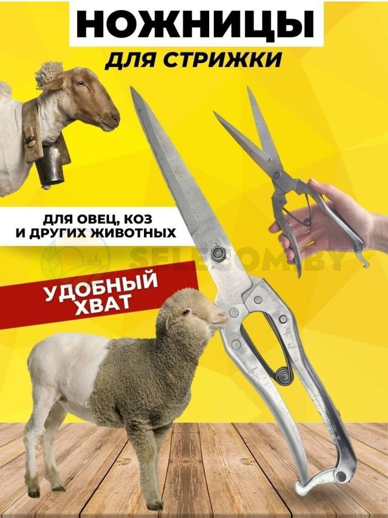 Ножницы для стрижки овец, собак и других животных 5