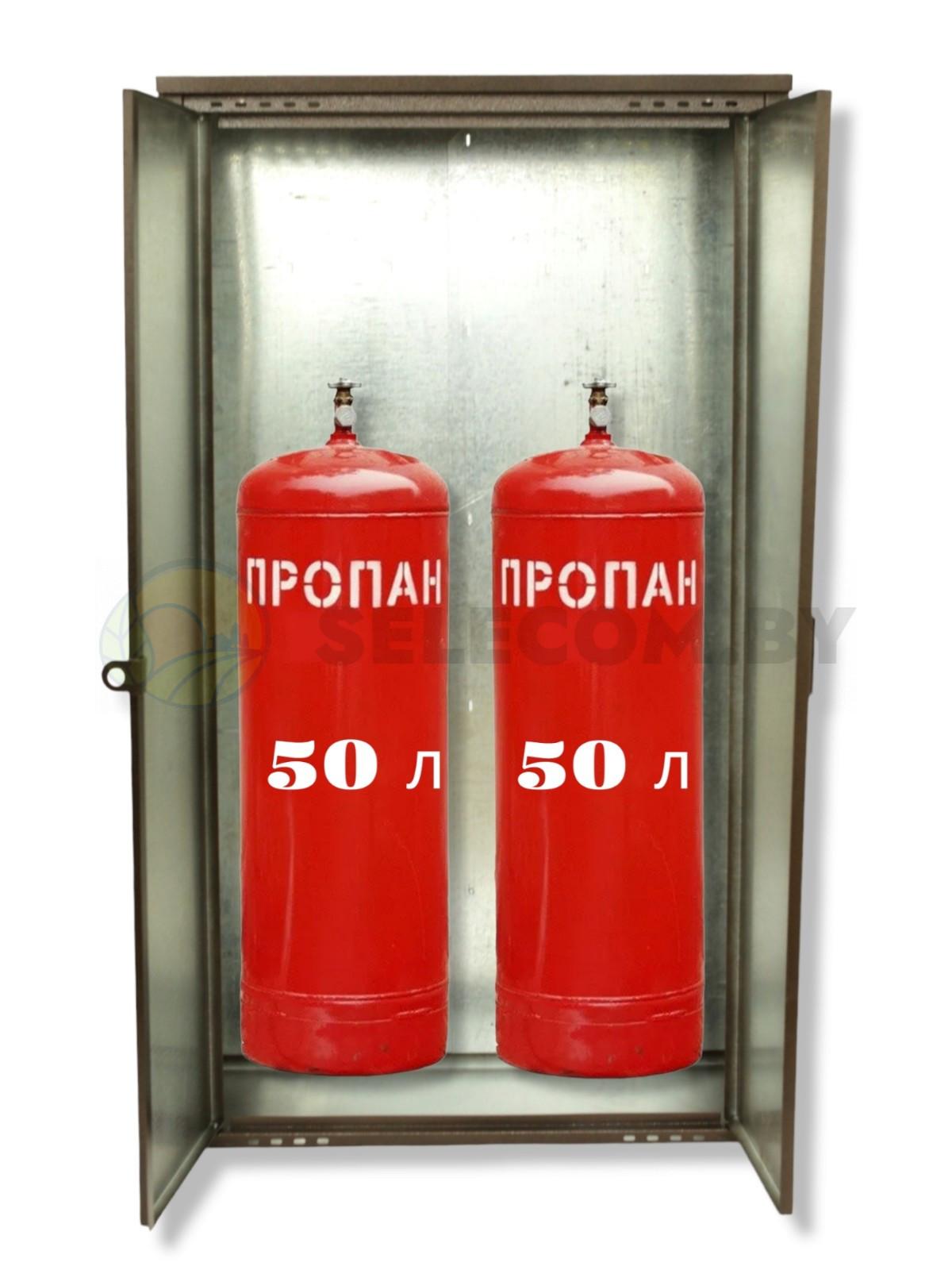 Шкаф для газовых баллонов (античный, 2*50 л.) высота 1,4 м.(2)
